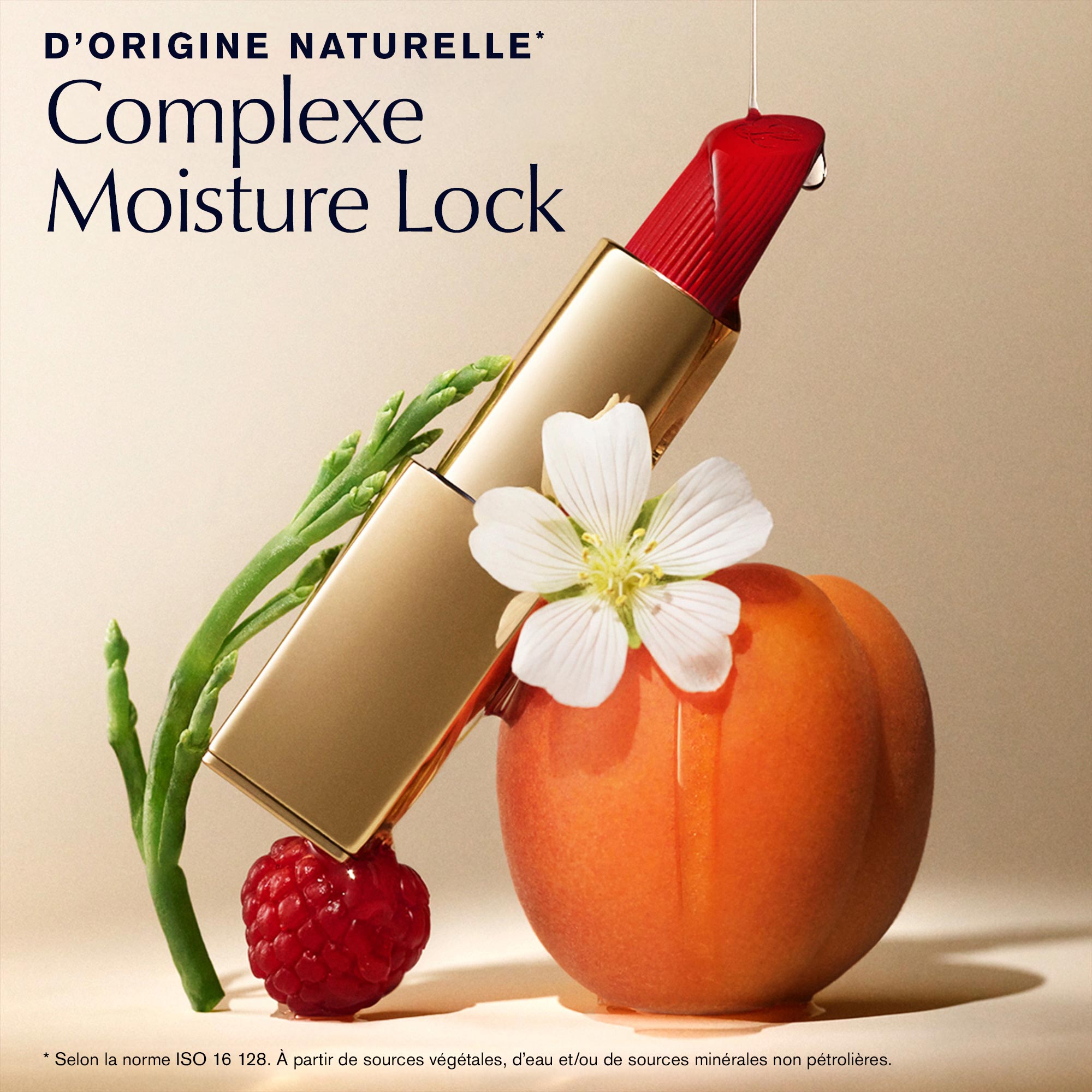 Rouge à Lèvres Brillant Estée Lauder - Coloris 104 Naked - Neuf Sous Blister